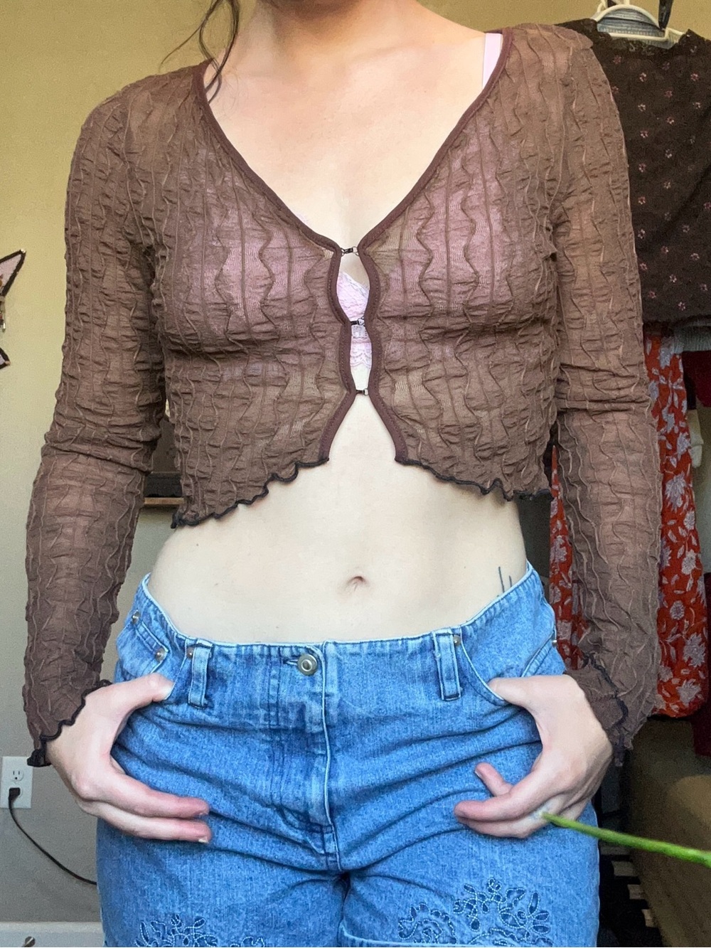 Brown Sheer Cropped textured Long-Sleeve Cardigan top